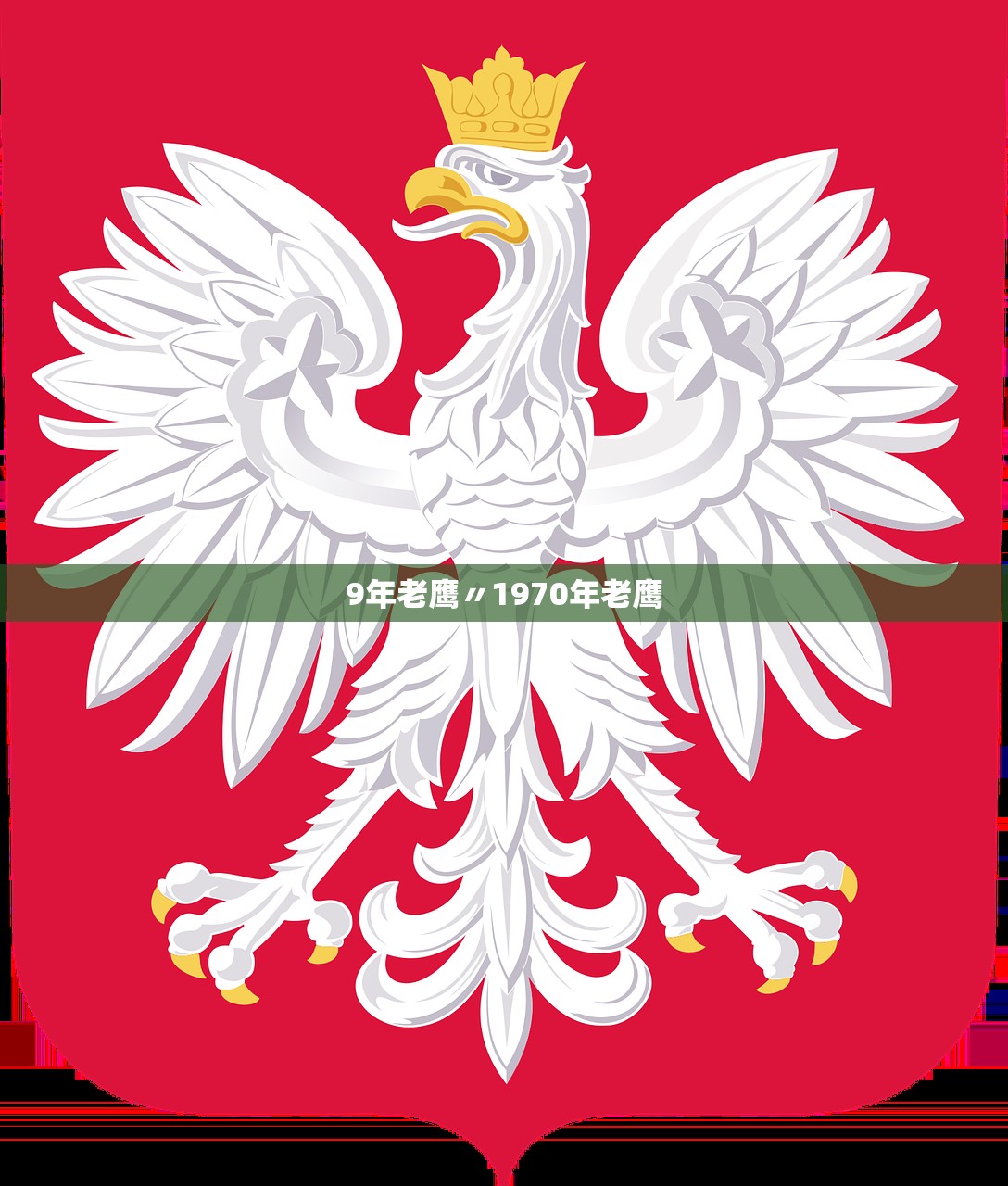 9年老鹰〃1970年老鹰 9年老鹰〃1970年老鹰