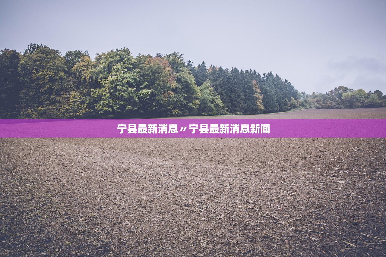 宁县最新消息〃宁县最新消息新闻 宁县最新消息〃宁县最新消息新闻