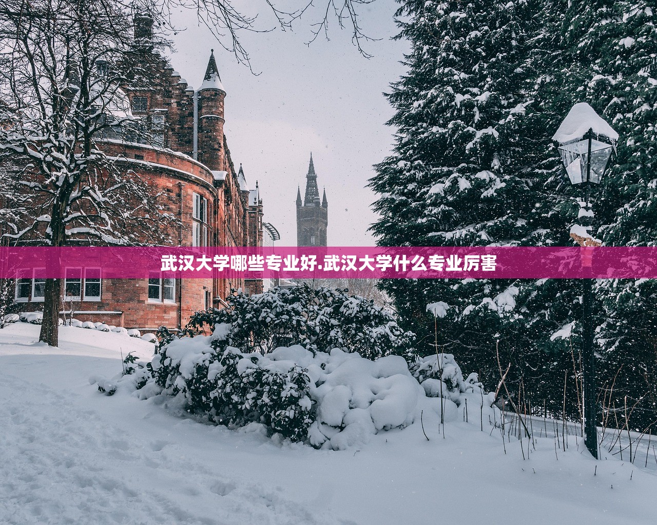 武汉大学哪些专业好.武汉大学什么专业厉害 武汉大学哪些专业好.武汉大学什么专业厉害