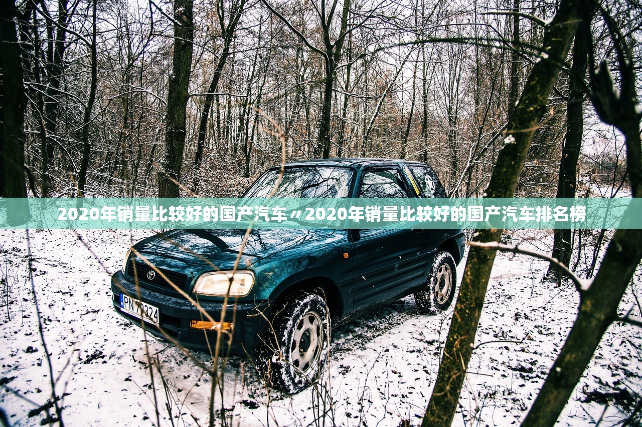 2020年销量比较好的国产汽车〃2020年销量比较好的国产汽车排名榜