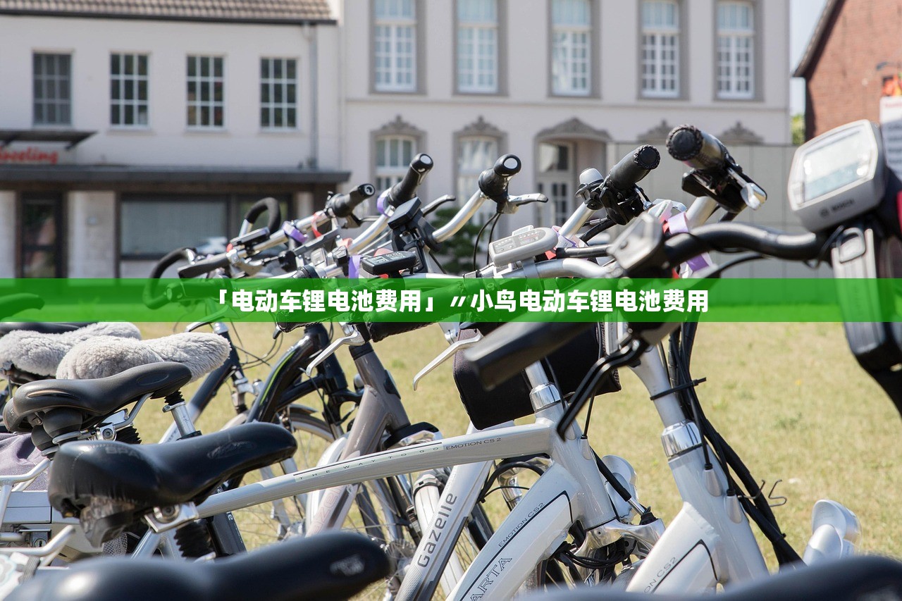 「电动车锂电池费用」〃小鸟电动车锂电池费用 「电动车锂电池费用」〃小鸟电动车锂电池费用