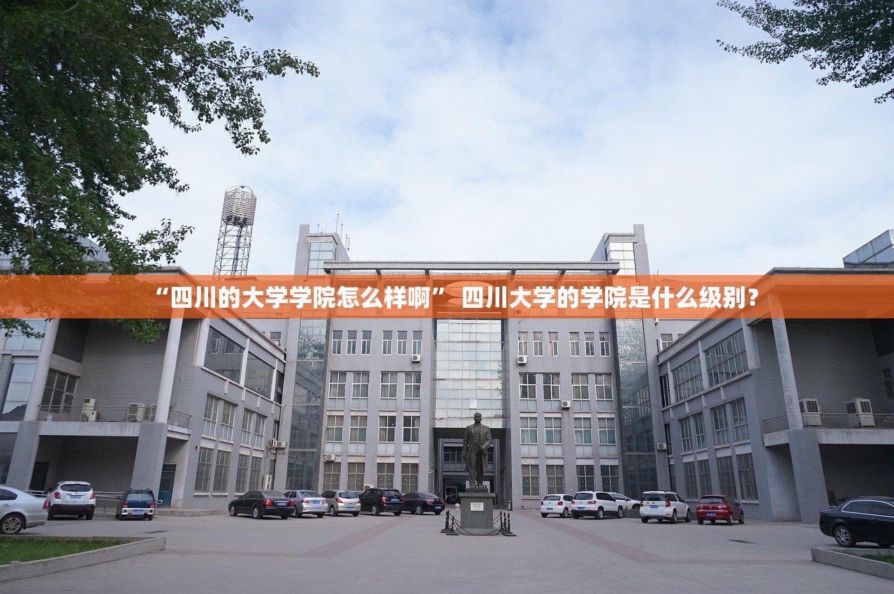 “四川的大学学院怎么样啊” 四川大学的学院是什么级别？