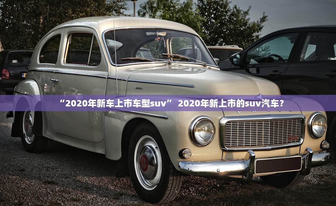 “2020年新车上市车型suv” 2020年新上市的suv汽车？