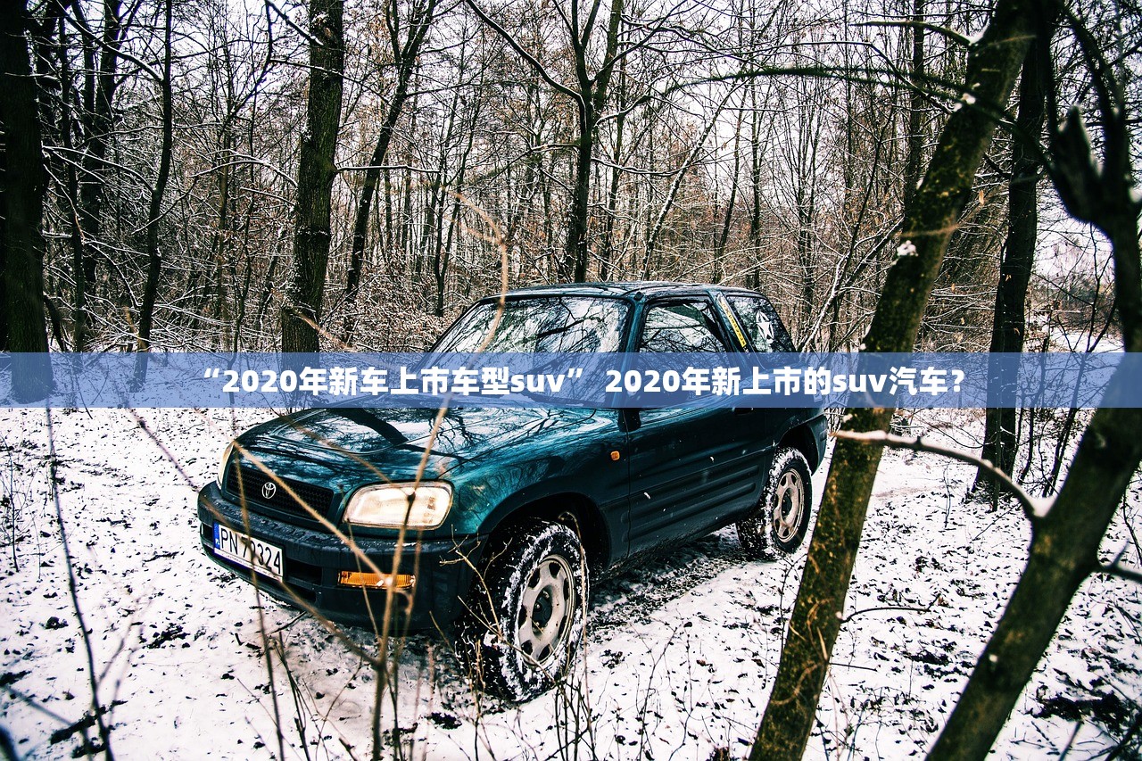 “2020年新车上市车型suv” 2020年新上市的suv汽车？