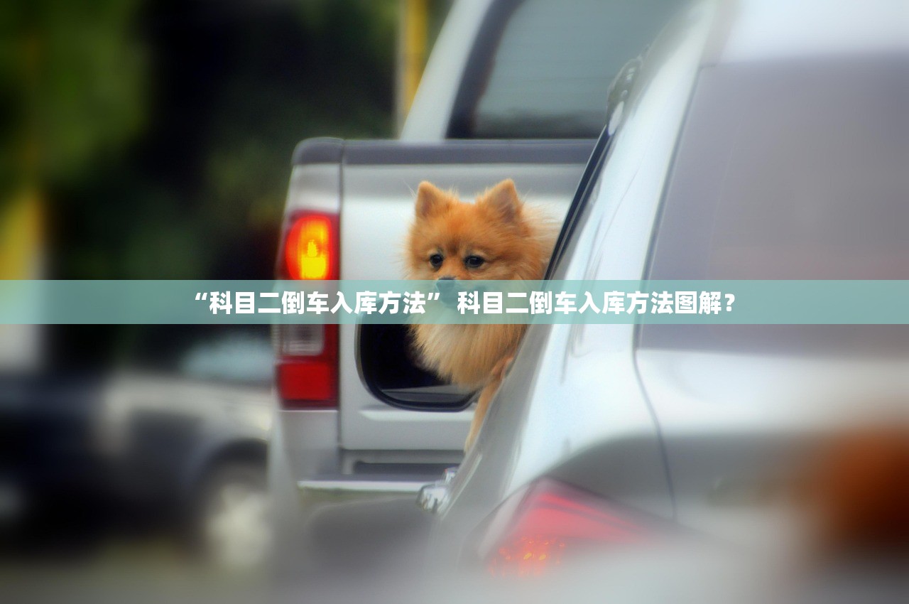 “科目二倒车入库方法” 科目二倒车入库方法图解？