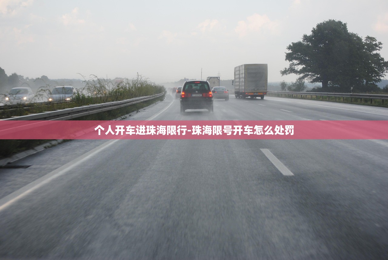 个人开车进珠海限行-珠海限号开车怎么处罚
