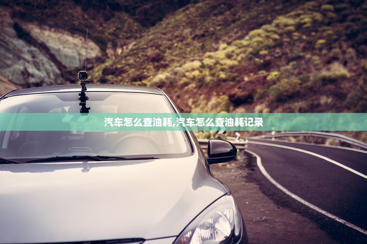 汽车怎么查油耗,汽车怎么查油耗记录 汽车怎么查油耗,汽车怎么查油耗记录