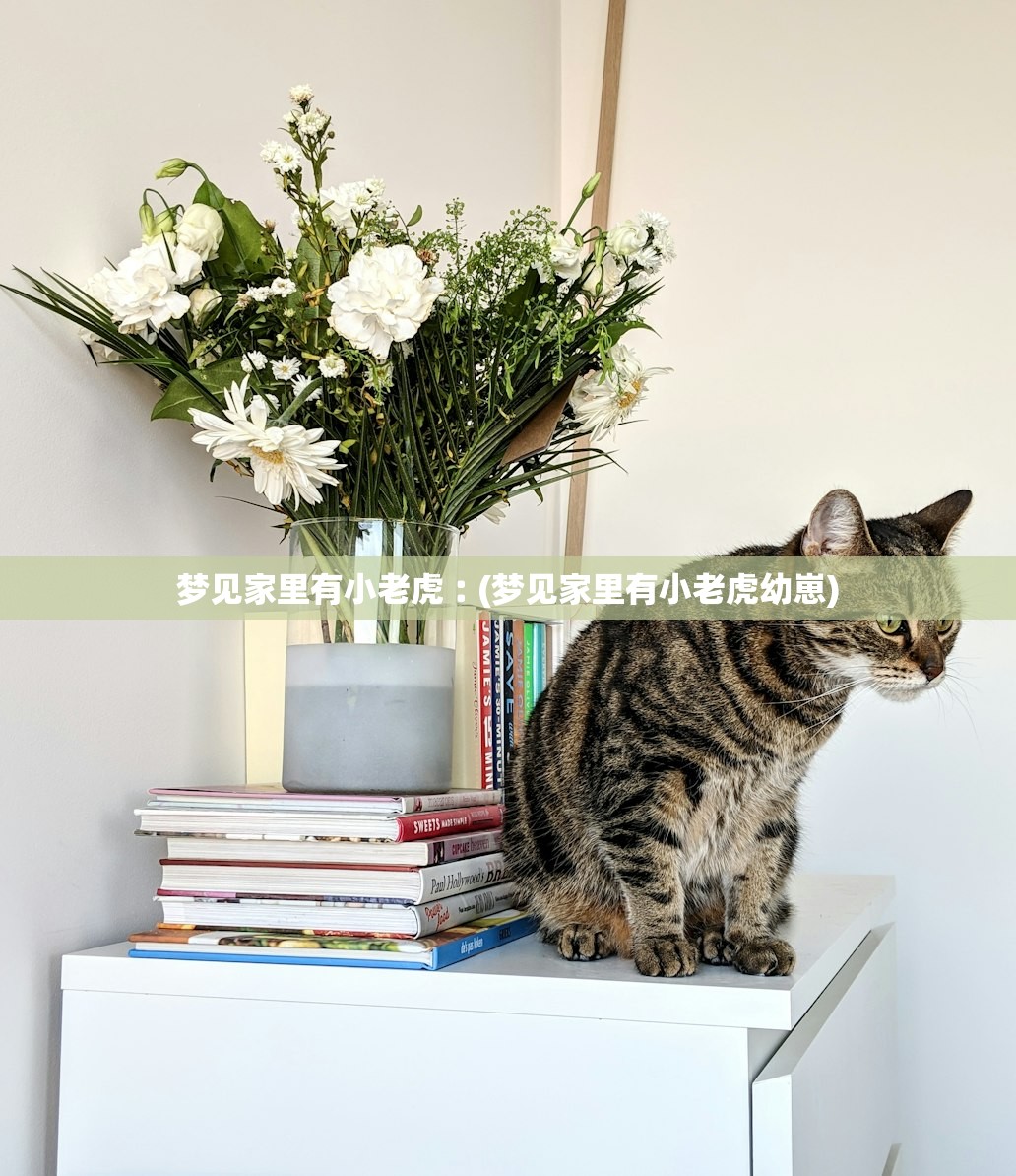梦见家里有小老虎︰(梦见家里有小老虎幼崽) 梦见家里有小老虎︰(梦见家里有小老虎幼崽)