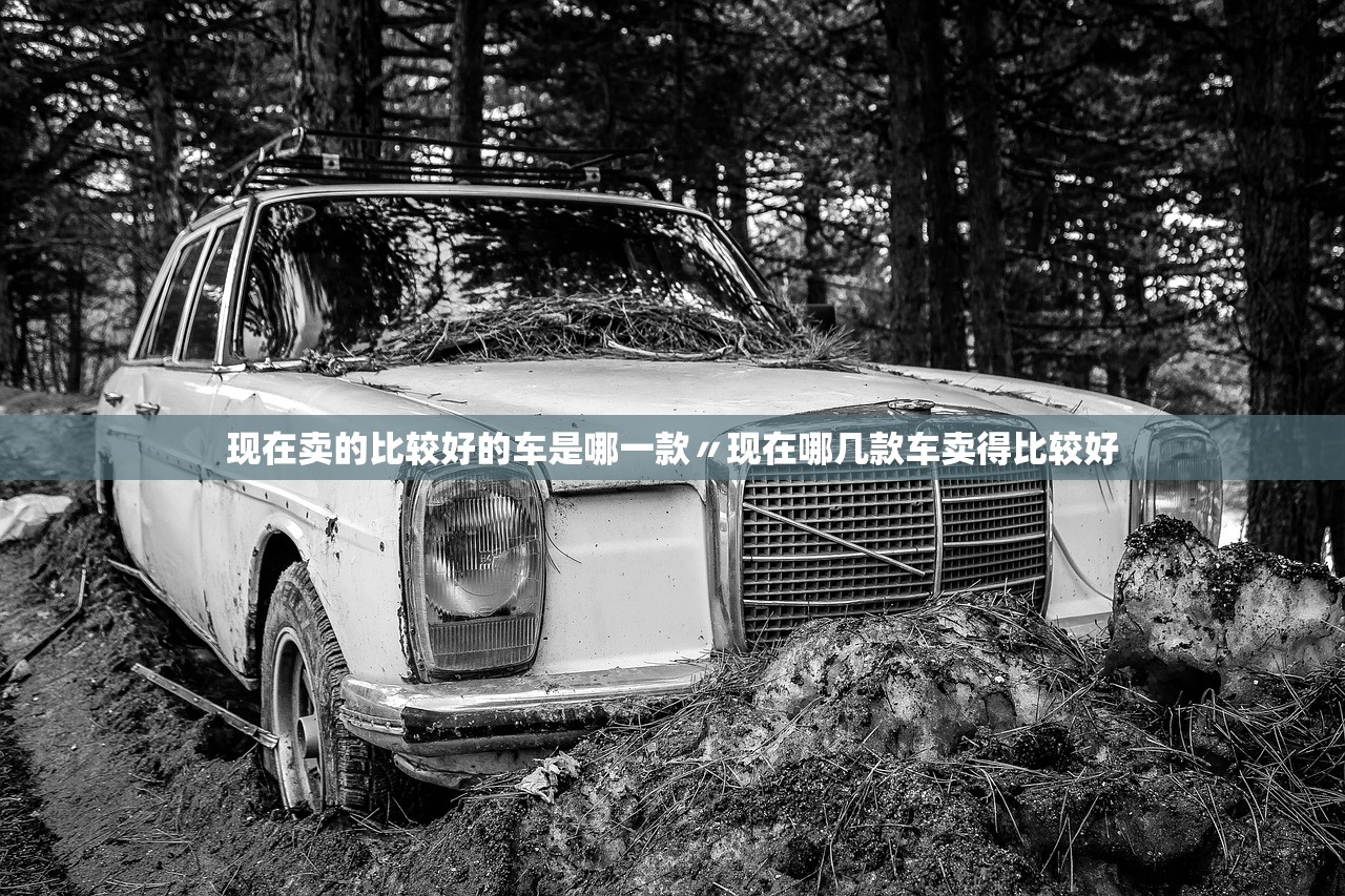 现在卖的比较好的车是哪一款〃现在哪几款车卖得比较好 现在卖的比较好的车是哪一款〃现在哪几款车卖得比较好