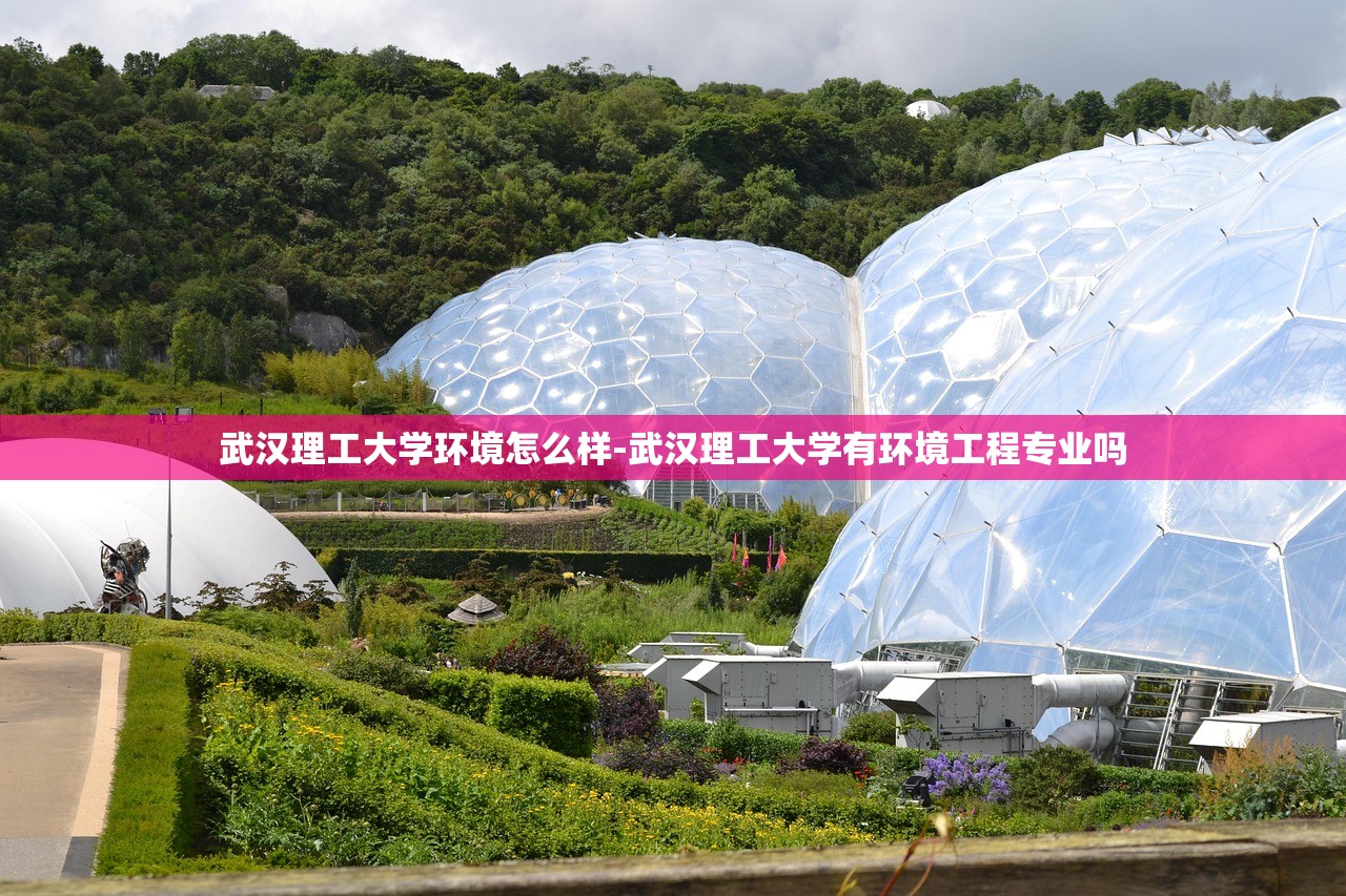 武汉理工大学环境怎么样-武汉理工大学有环境工程专业吗 武汉理工大学环境怎么样-武汉理工大学有环境工程专业吗