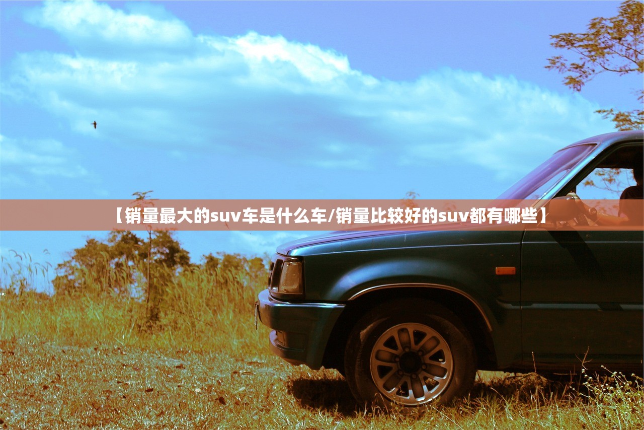 【销量最大的suv车是什么车/销量比较好的suv都有哪些】