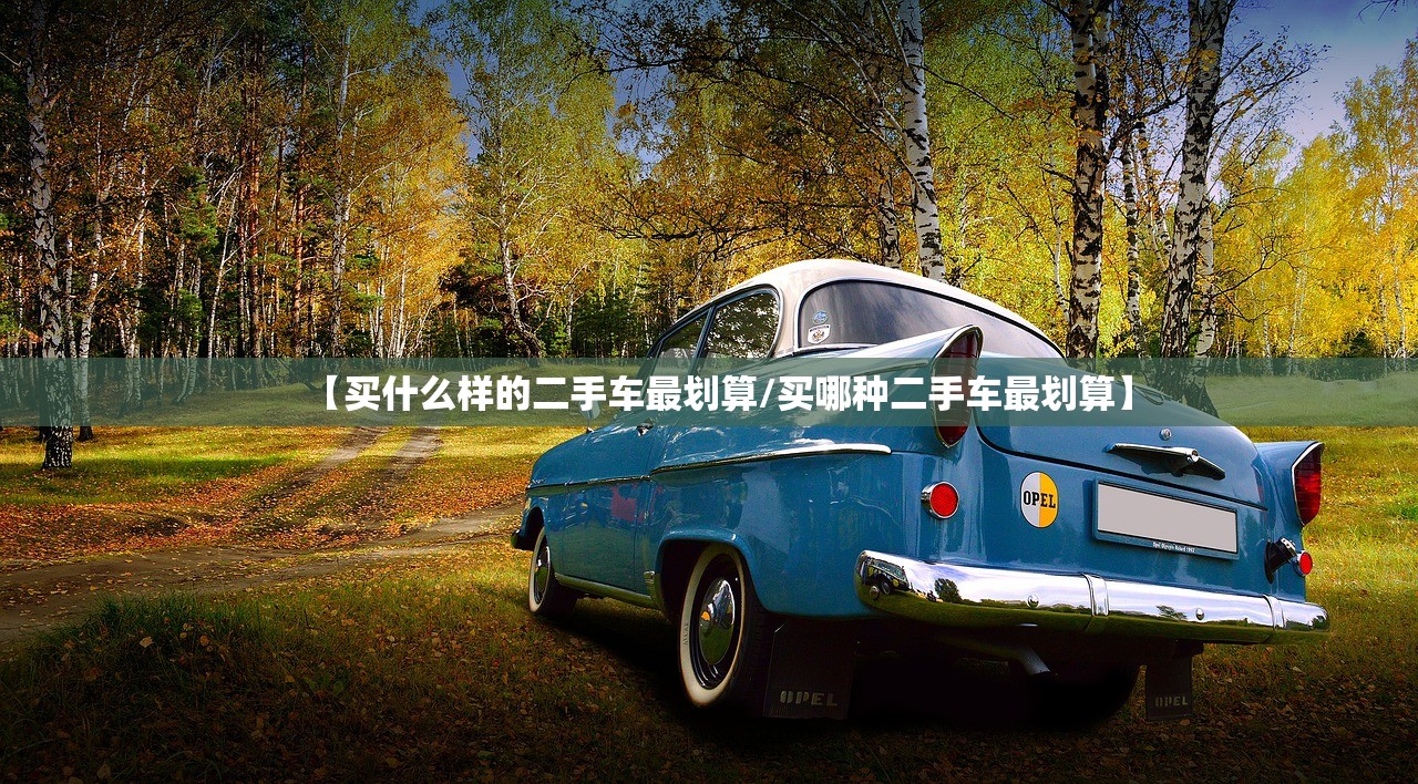 【买什么样的二手车最划算/买哪种二手车最划算】 【买什么样的二手车最划算/买哪种二手车最划算】