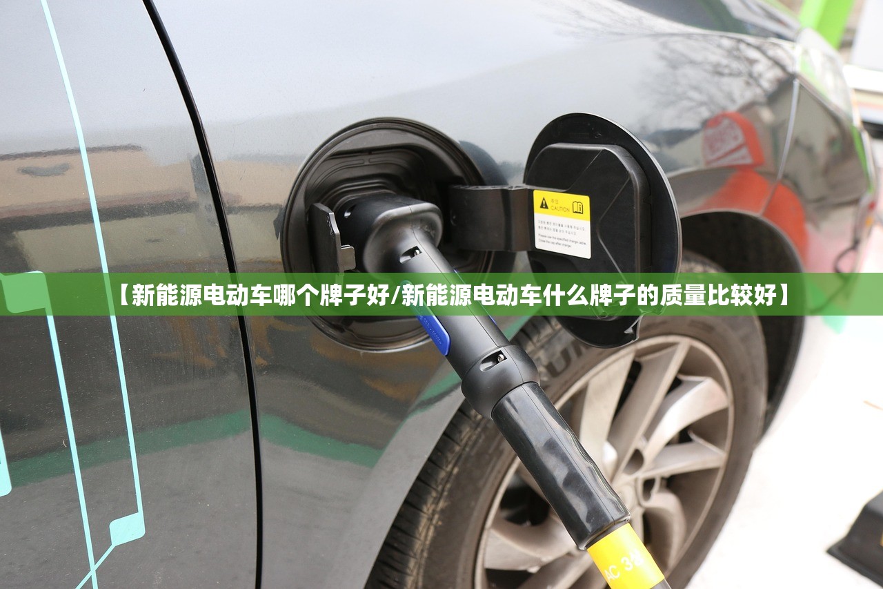 【新能源电动车哪个牌子好/新能源电动车什么牌子的质量比较好】 【新能源电动车哪个牌子好/新能源电动车什么牌子的质量比较好】