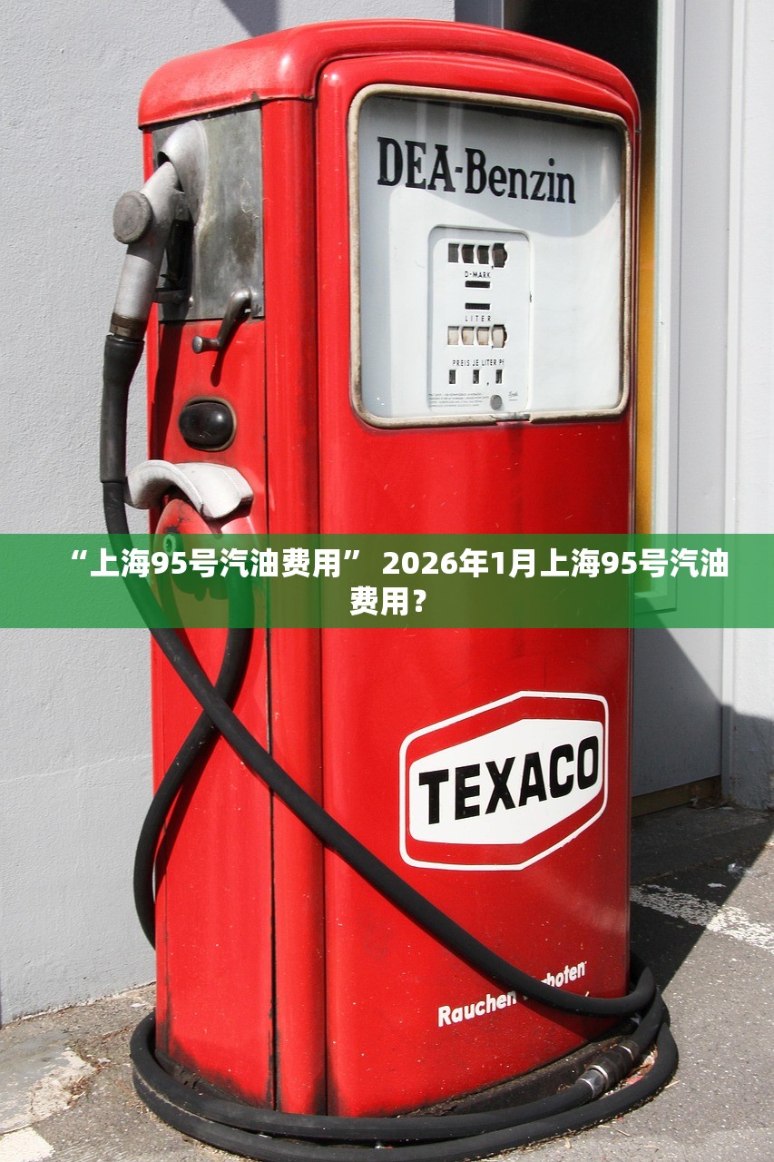 “上海95号汽油费用” 2026年1月上海95号汽油费用？