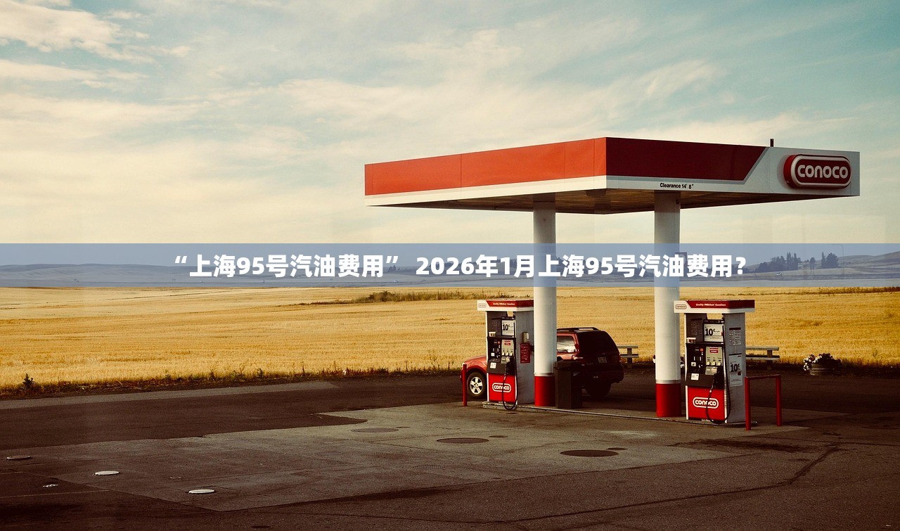 “上海95号汽油费用” 2026年1月上海95号汽油费用？