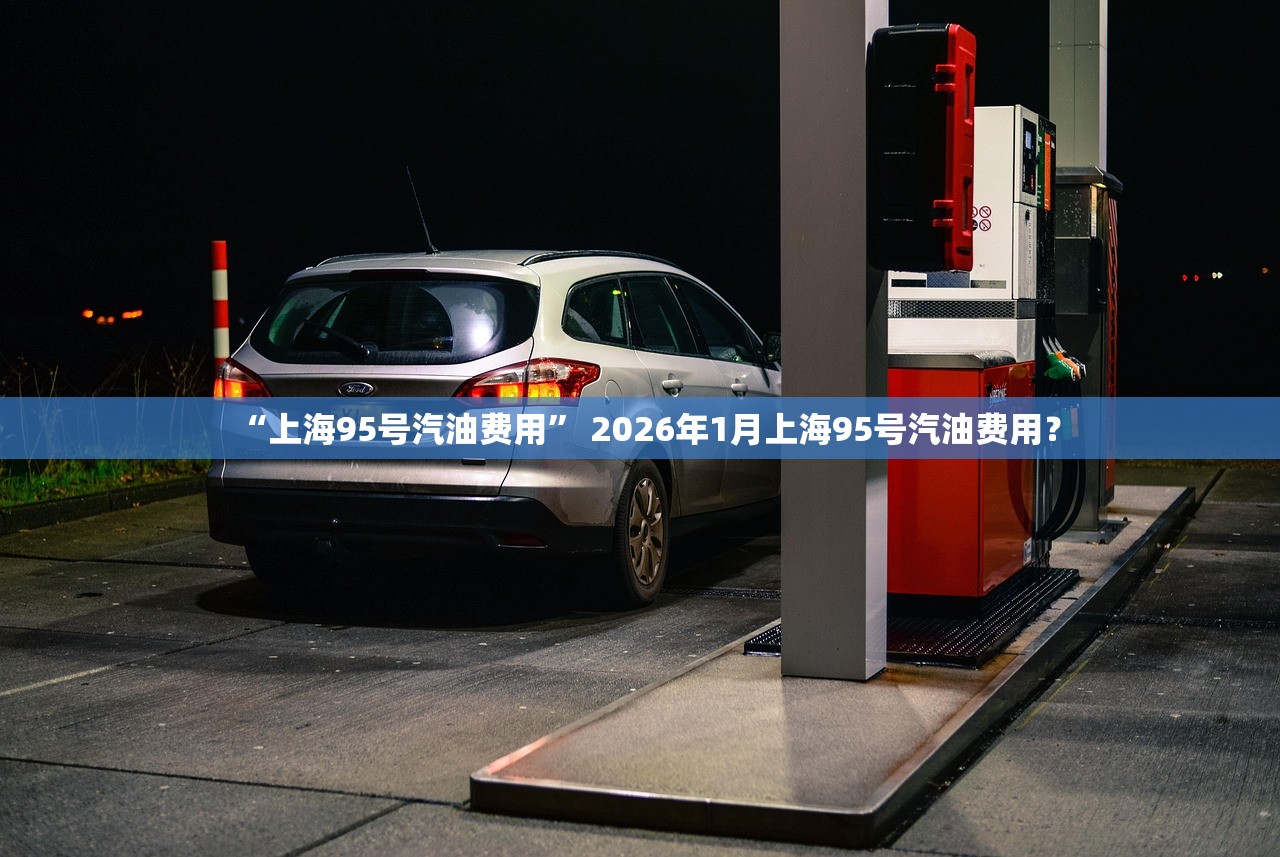 “上海95号汽油费用” 2026年1月上海95号汽油费用？