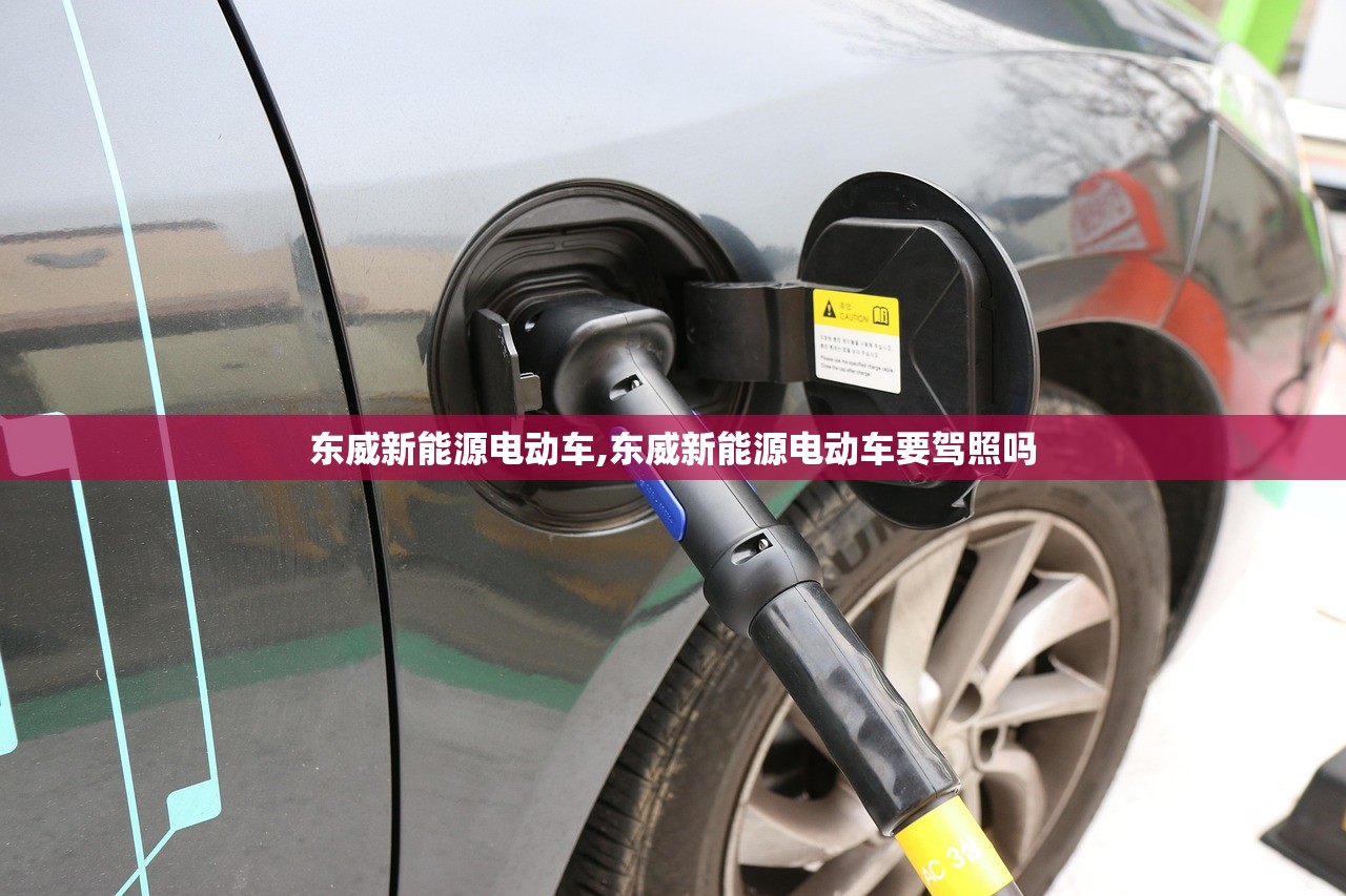 东威新能源电动车,东威新能源电动车要驾照吗 东威新能源电动车,东威新能源电动车要驾照吗