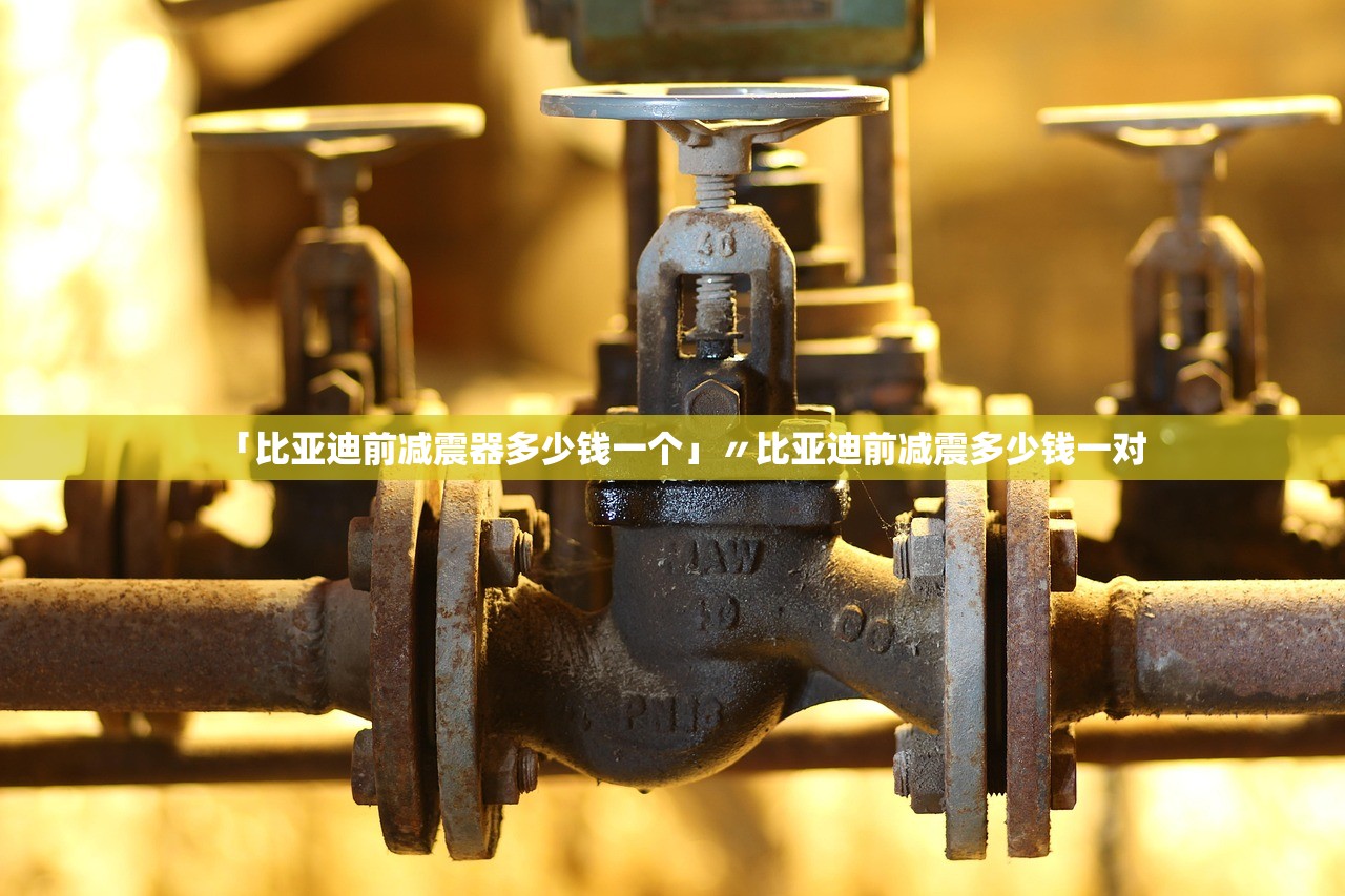 「比亚迪前减震器多少钱一个」〃比亚迪前减震多少钱一对 「比亚迪前减震器多少钱一个」〃比亚迪前减震多少钱一对