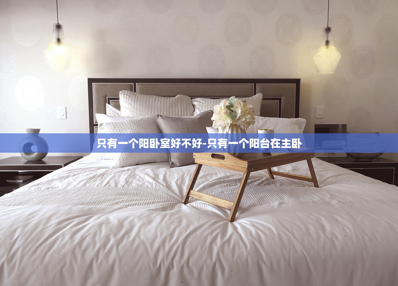 只有一个阳卧室好不好-只有一个阳台在主卧 只有一个阳卧室好不好-只有一个阳台在主卧