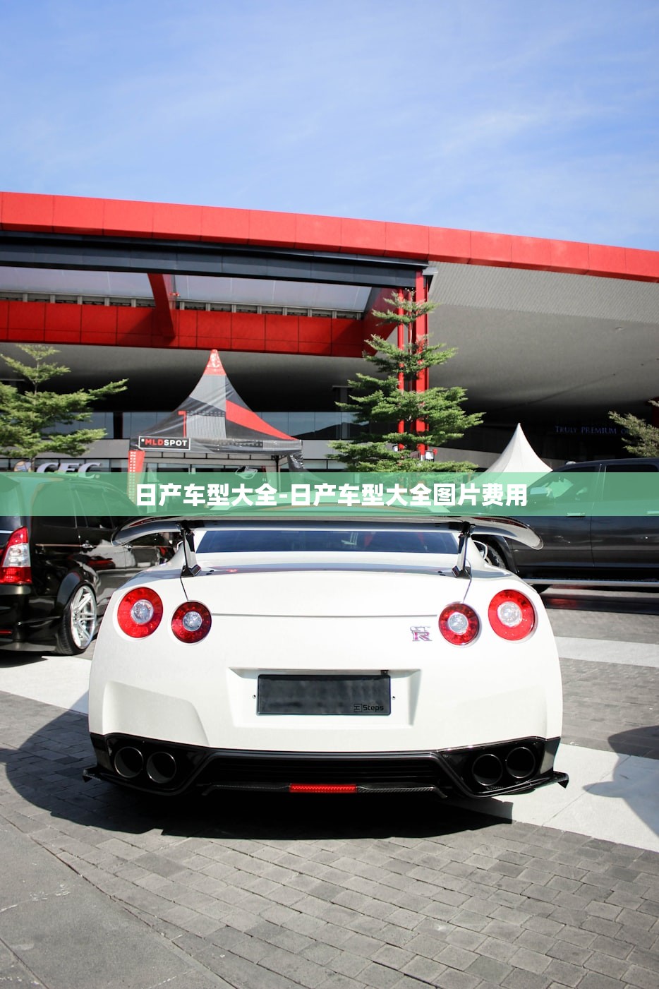 日产车型大全-日产车型大全图片费用 日产车型大全-日产车型大全图片费用