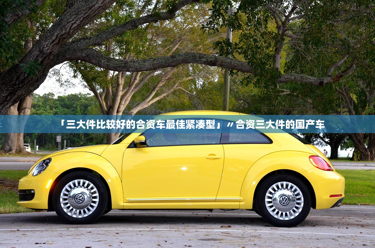 「三大件比较好的合资车最佳紧凑型」〃合资三大件的国产车