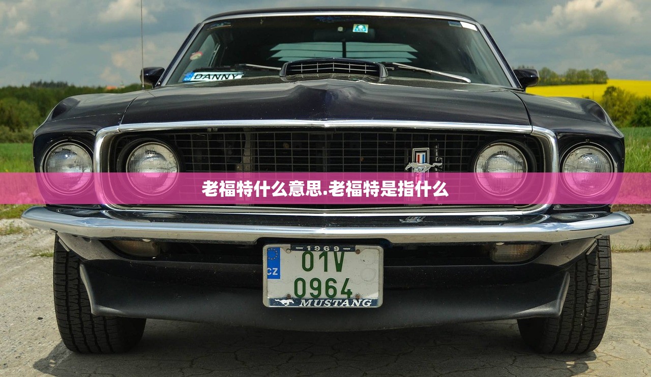 老福特什么意思.老福特是指什么