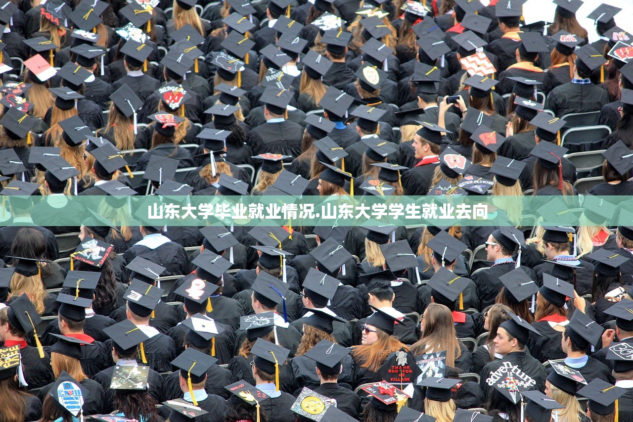 山东大学毕业就业情况.山东大学学生就业去向 山东大学毕业就业情况.山东大学学生就业去向