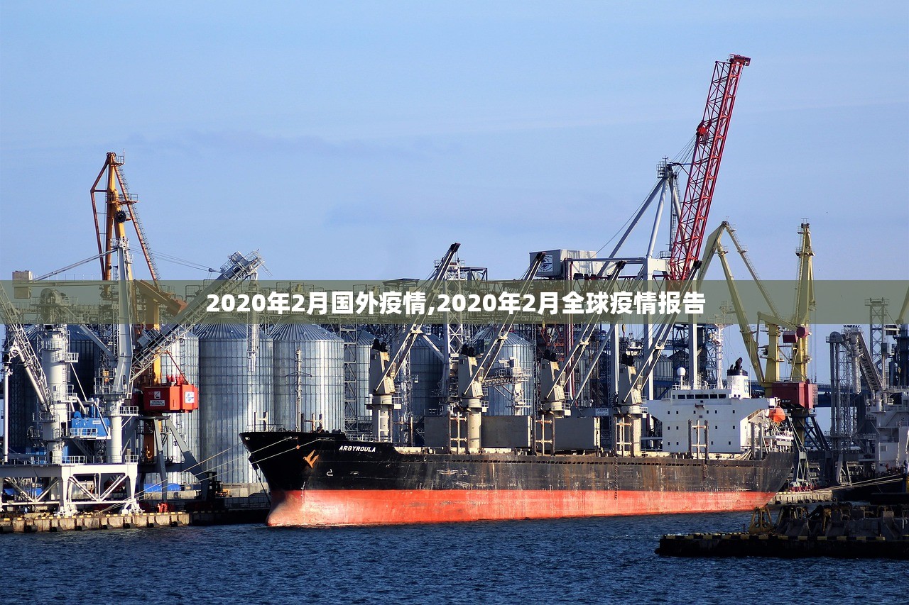 2020年2月国外疫情,2020年2月全球疫情报告