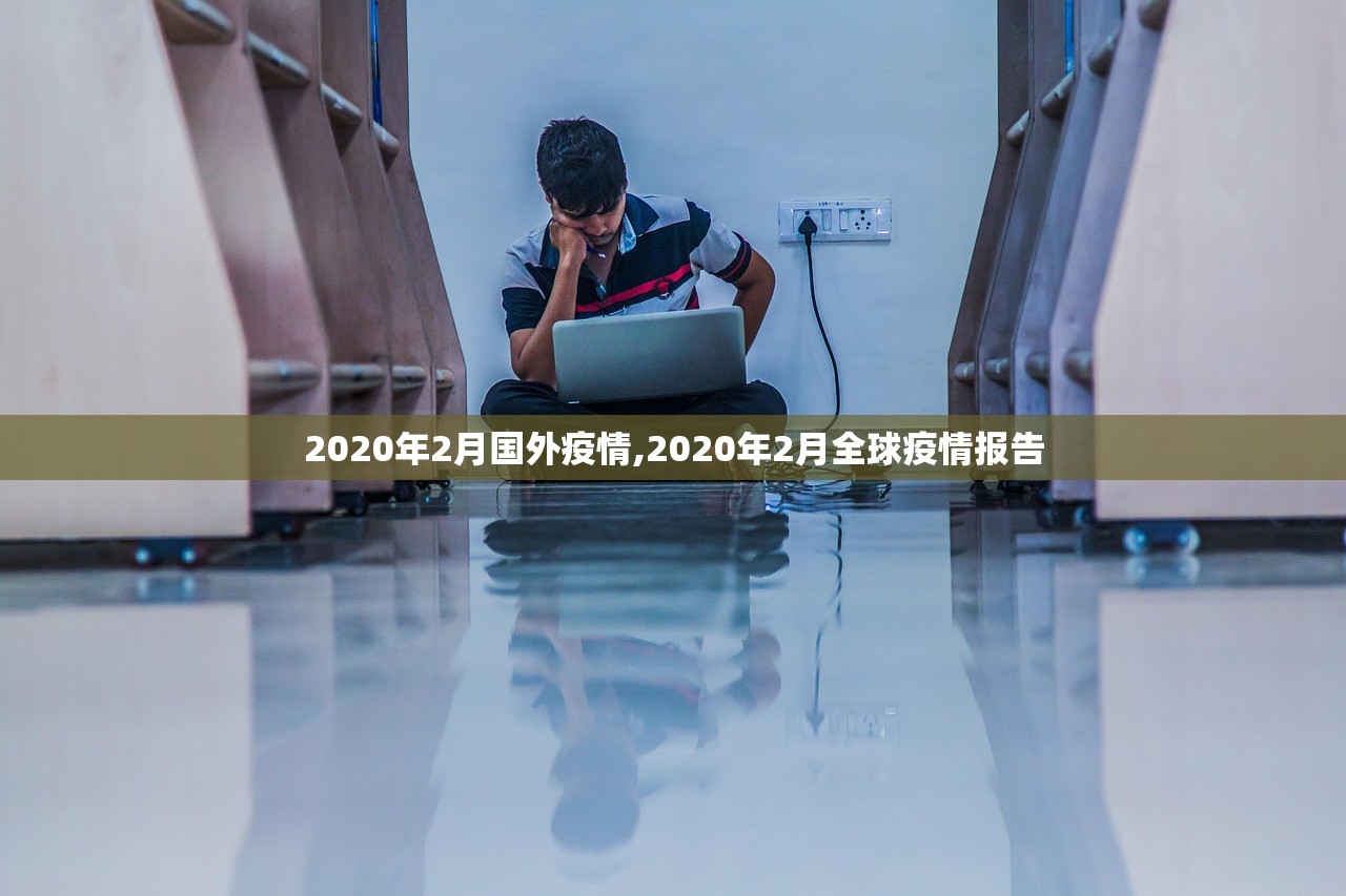 2020年2月国外疫情,2020年2月全球疫情报告