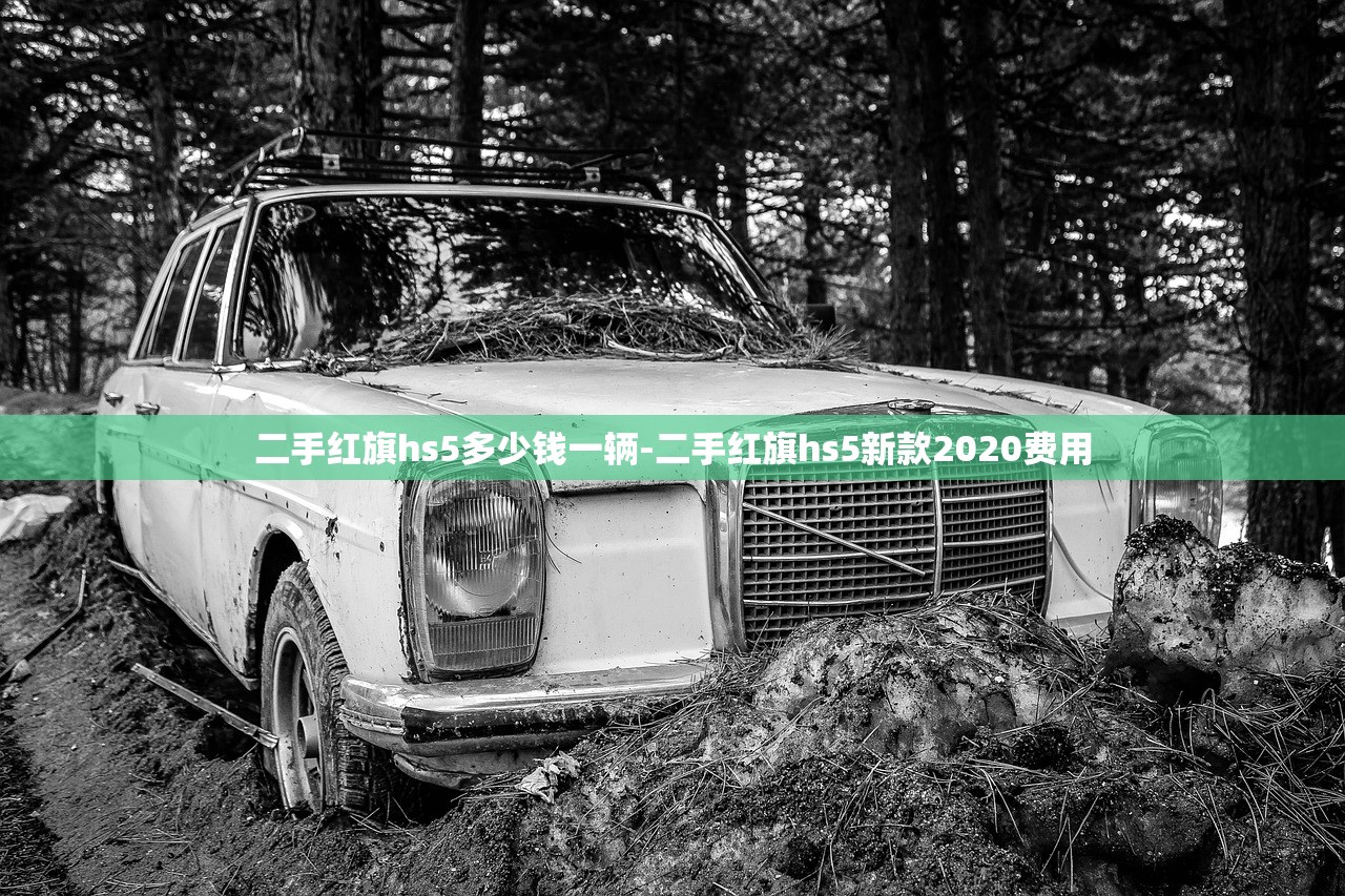 二手红旗hs5多少钱一辆-二手红旗hs5新款2020费用 二手红旗hs5多少钱一辆-二手红旗hs5新款2020费用