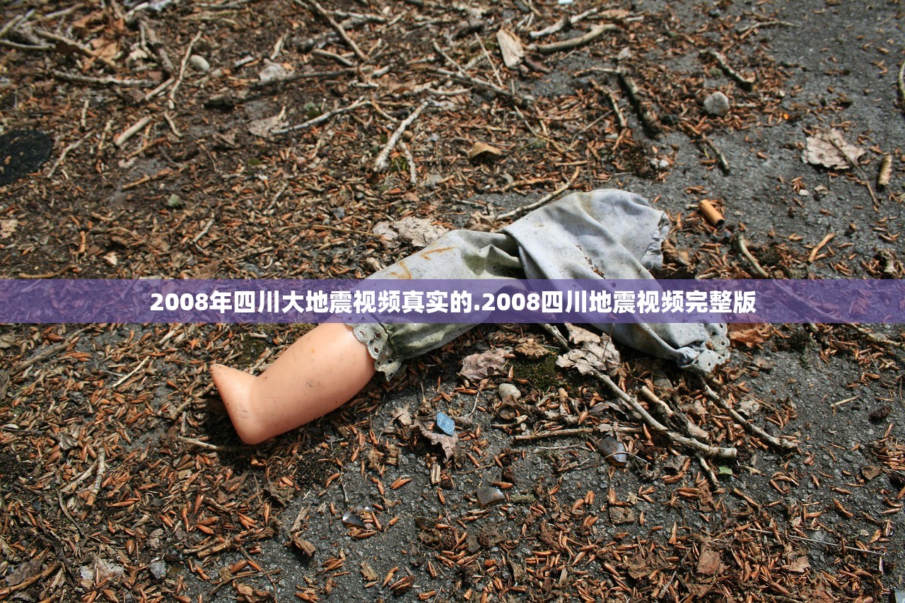 2008年四川大地震视频真实的.2008四川地震视频完整版 2008年四川大地震视频真实的.2008四川地震视频完整版