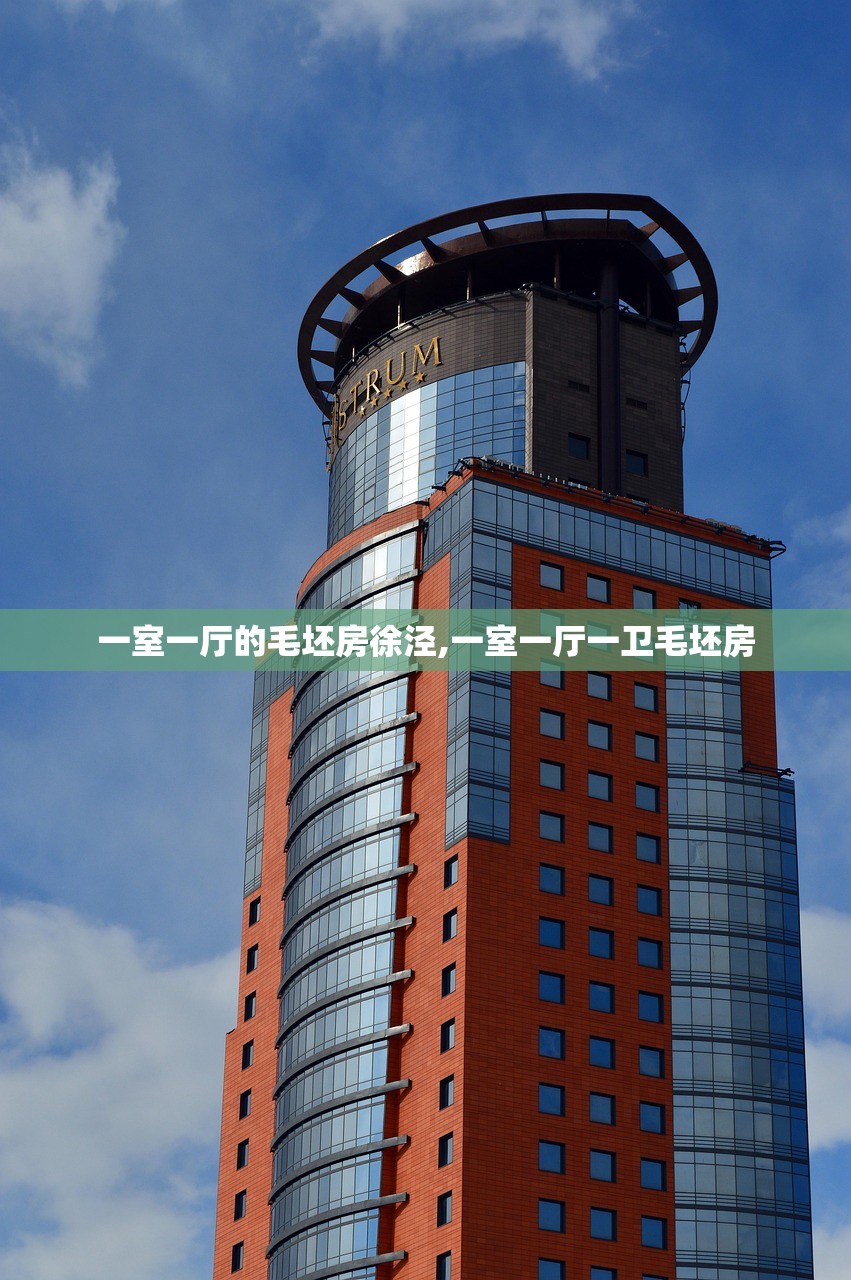 一室一厅的毛坯房徐泾,一室一厅一卫毛坯房 一室一厅的毛坯房徐泾,一室一厅一卫毛坯房