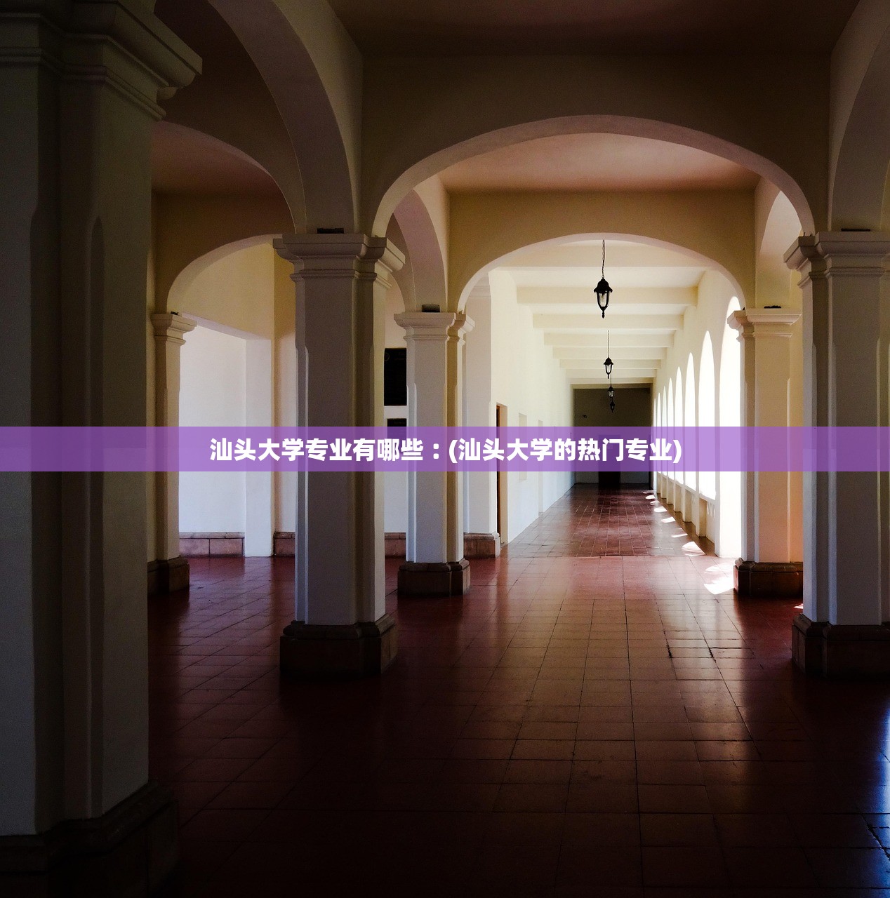 汕头大学专业有哪些︰(汕头大学的热门专业) 汕头大学专业有哪些︰(汕头大学的热门专业)