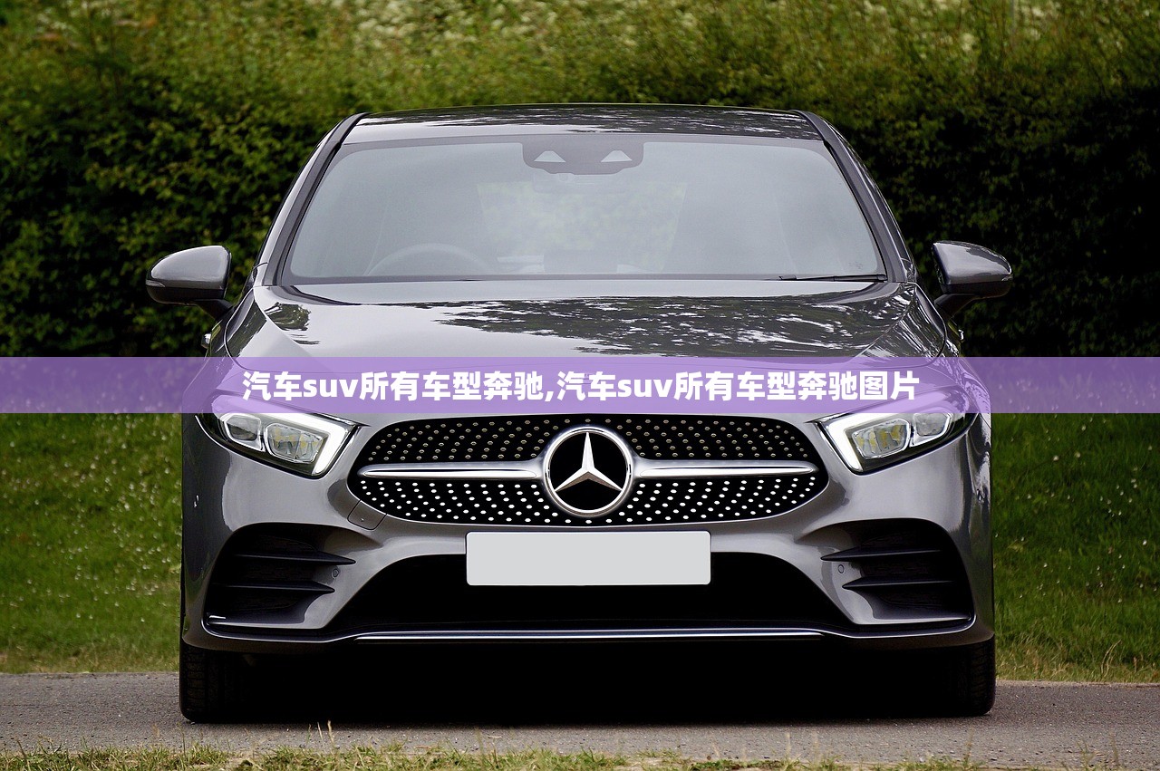 汽车suv所有车型奔驰,汽车suv所有车型奔驰图片