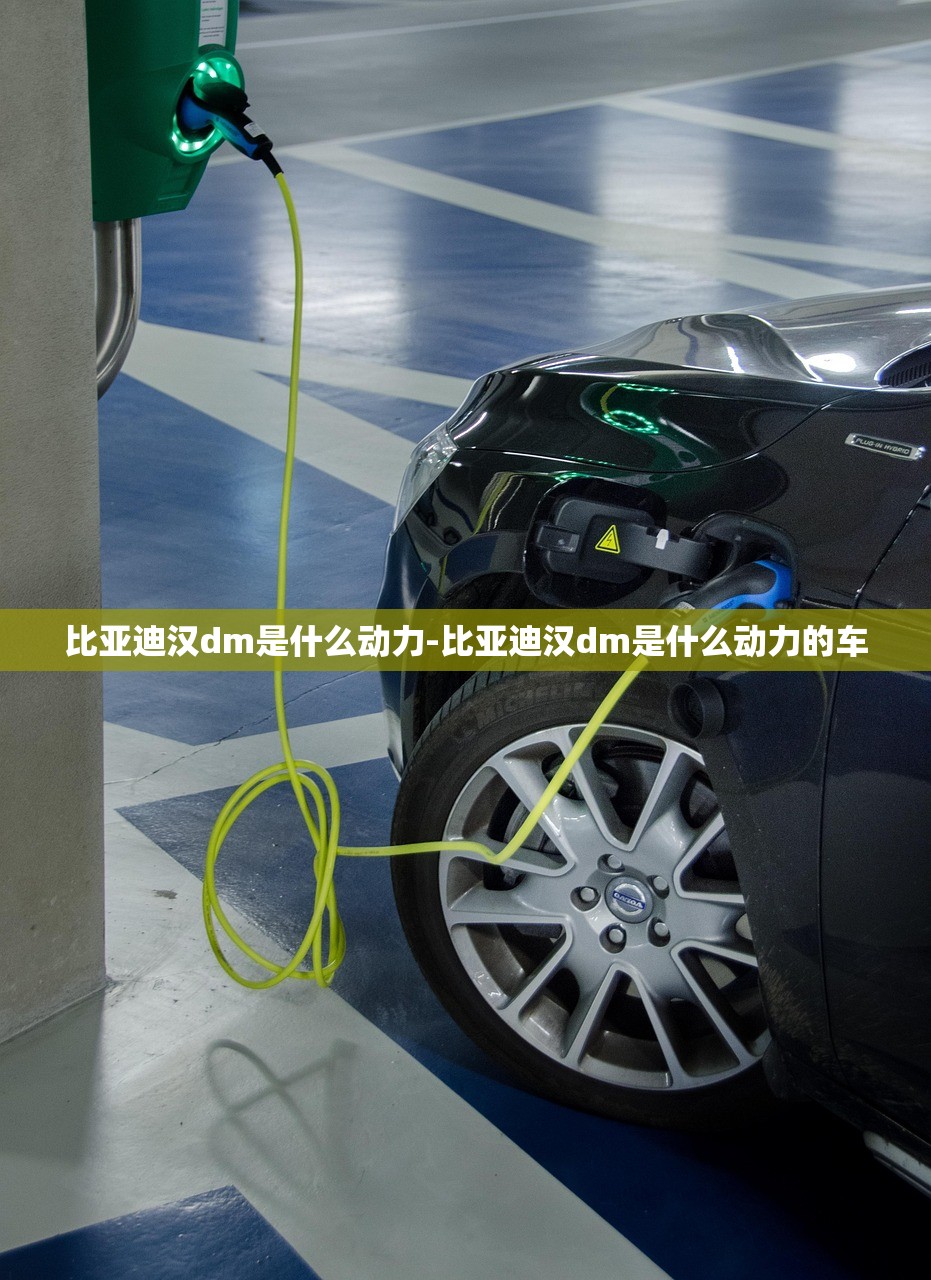 比亚迪汉dm是什么动力-比亚迪汉dm是什么动力的车 比亚迪汉dm是什么动力-比亚迪汉dm是什么动力的车