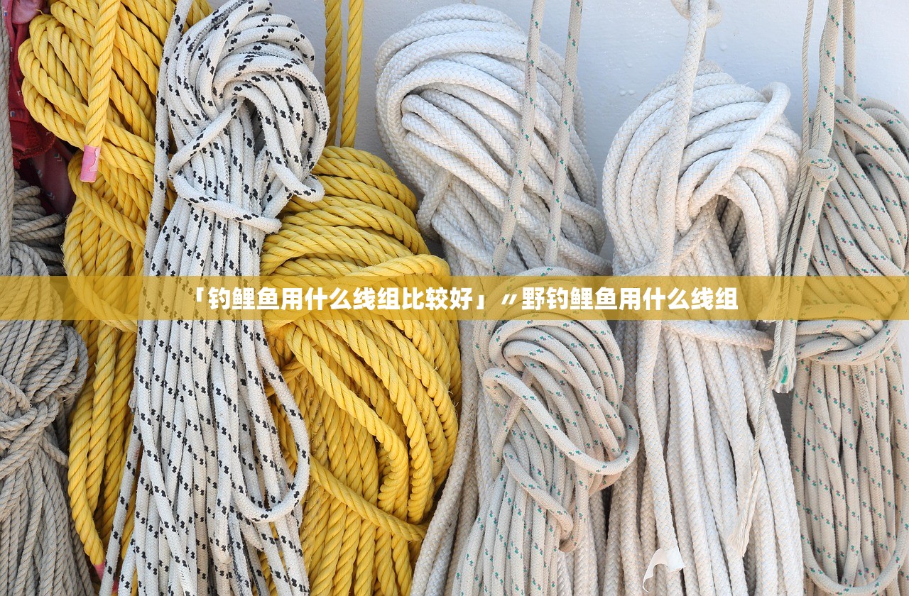 「钓鲤鱼用什么线组比较好」〃野钓鲤鱼用什么线组 「钓鲤鱼用什么线组比较好」〃野钓鲤鱼用什么线组