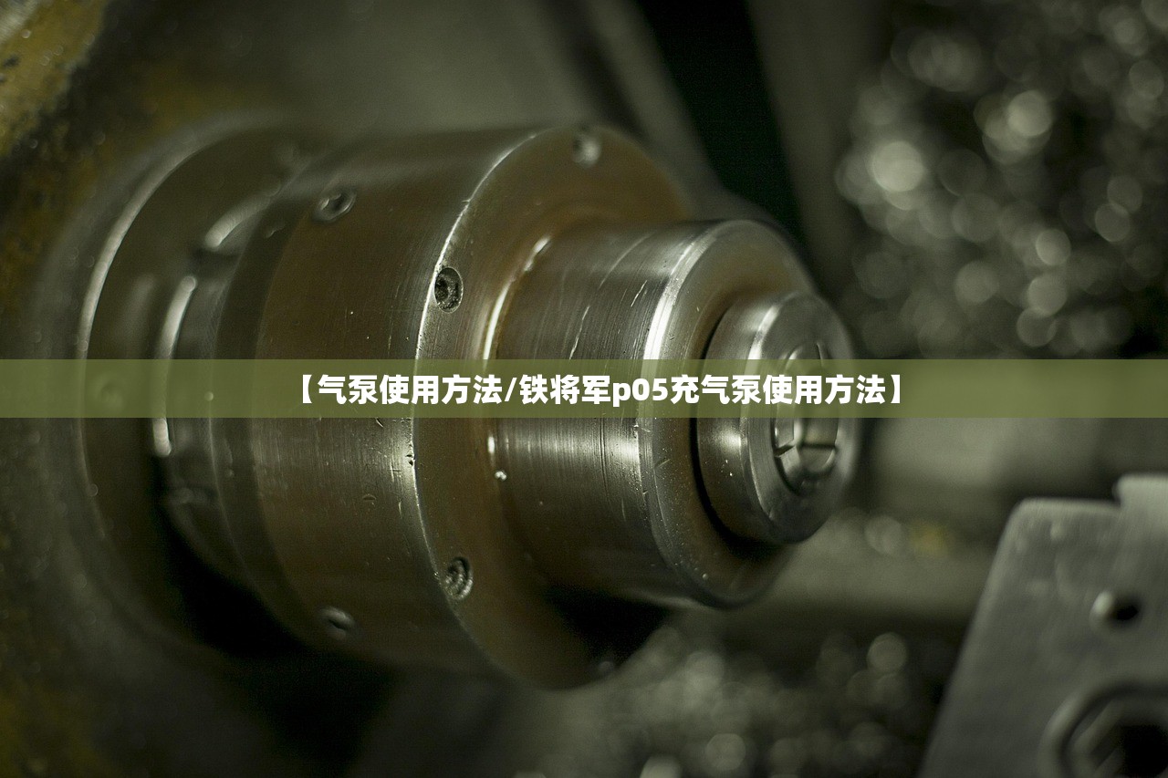 【气泵使用方法/铁将军p05充气泵使用方法】 【气泵使用方法/铁将军p05充气泵使用方法】