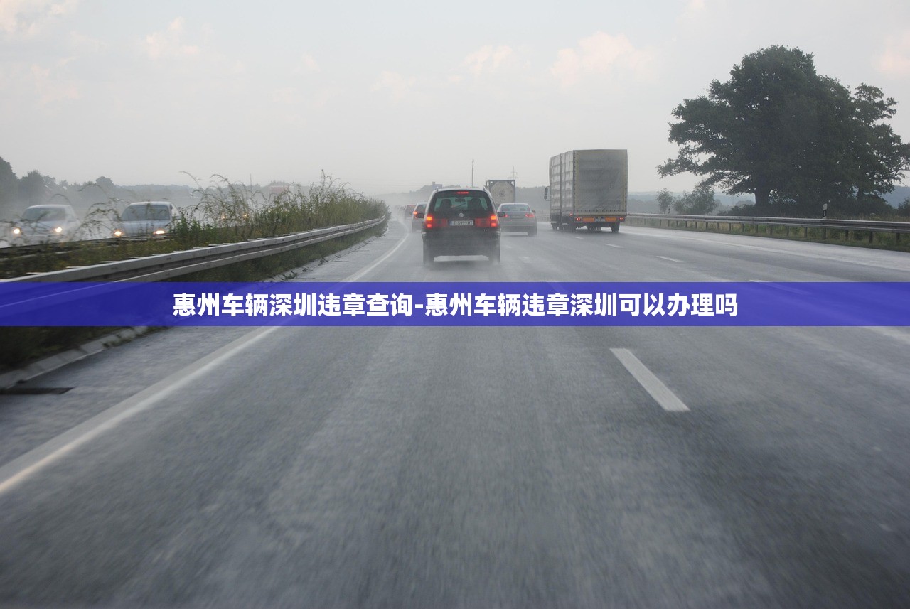 惠州车辆深圳违章查询-惠州车辆违章深圳可以办理吗