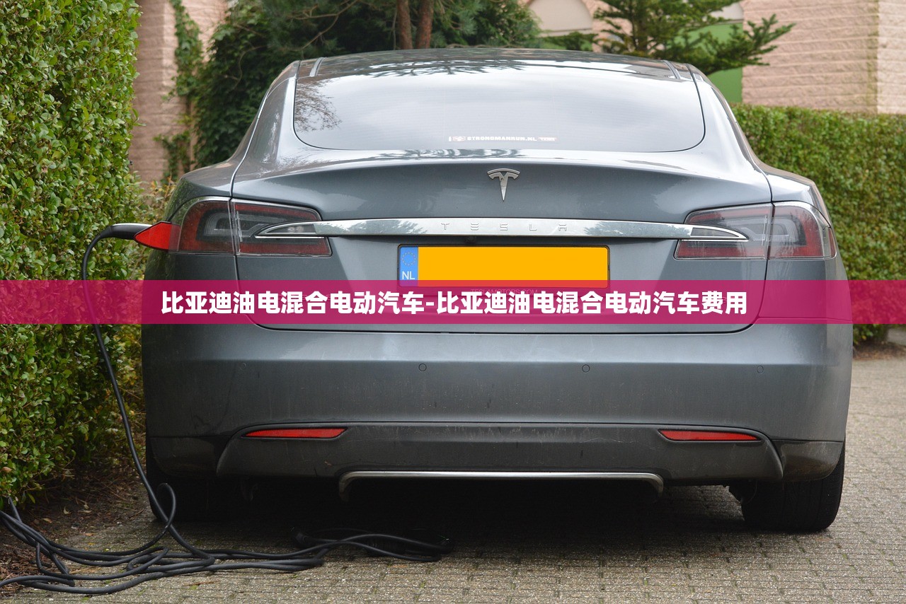 比亚迪油电混合电动汽车-比亚迪油电混合电动汽车费用 比亚迪油电混合电动汽车-比亚迪油电混合电动汽车费用
