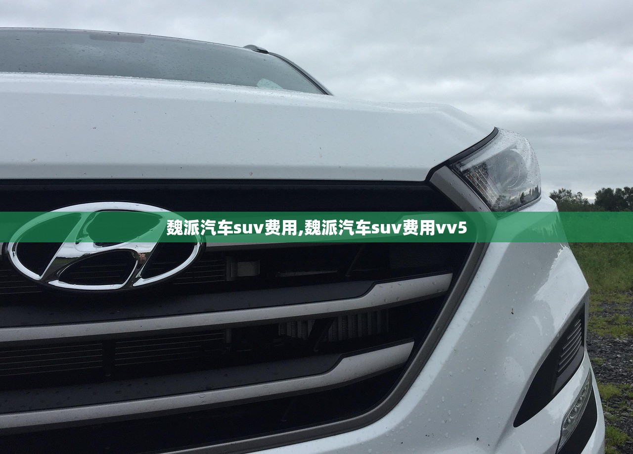 魏派汽车suv费用,魏派汽车suv费用vv5 魏派汽车suv费用,魏派汽车suv费用vv5