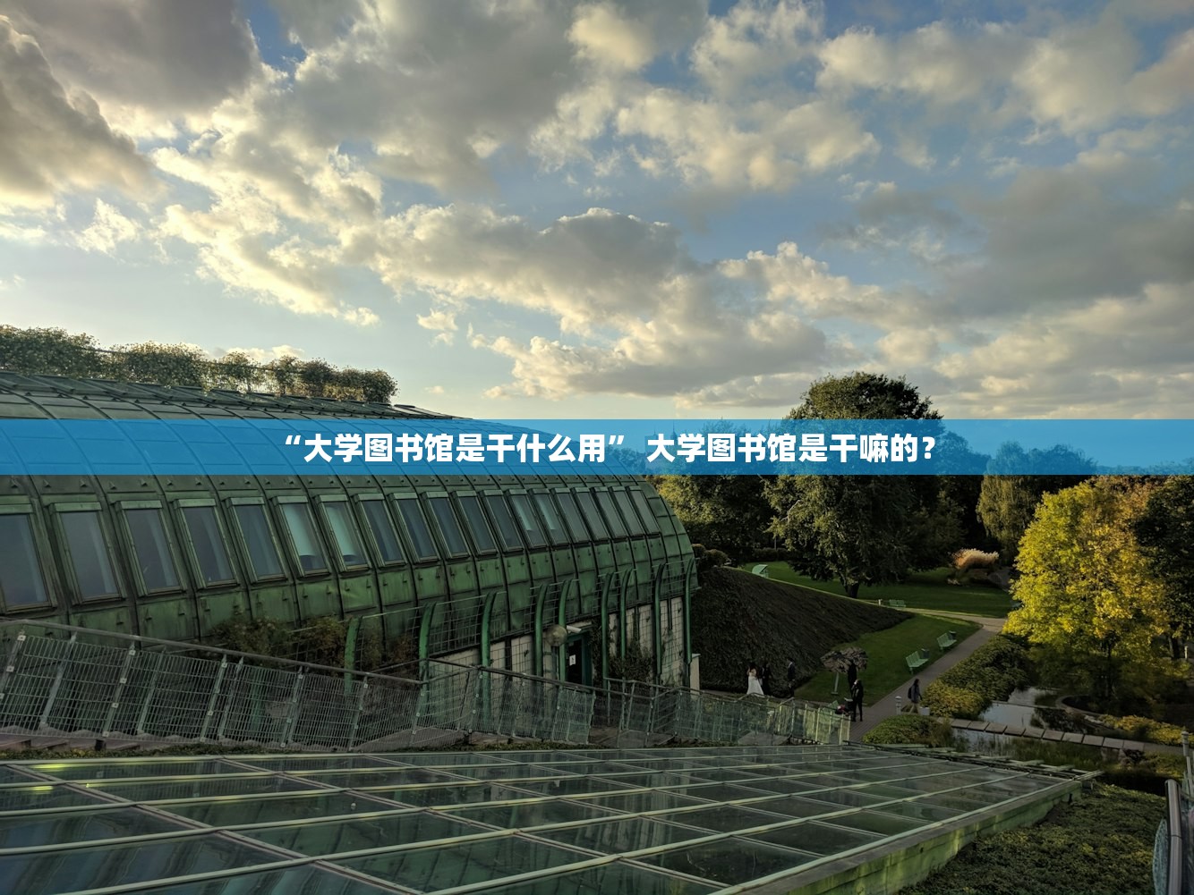 “大学图书馆是干什么用” 大学图书馆是干嘛的？