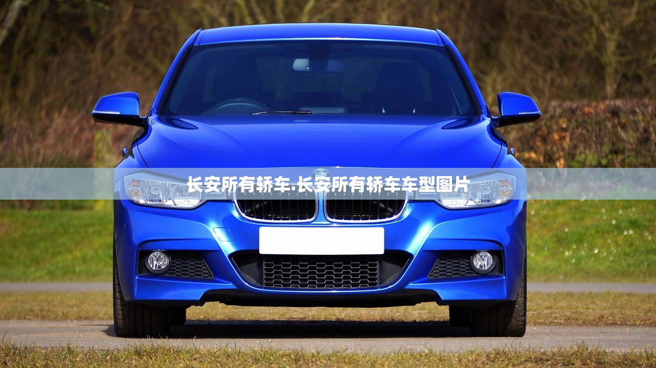 长安所有轿车.长安所有轿车车型图片