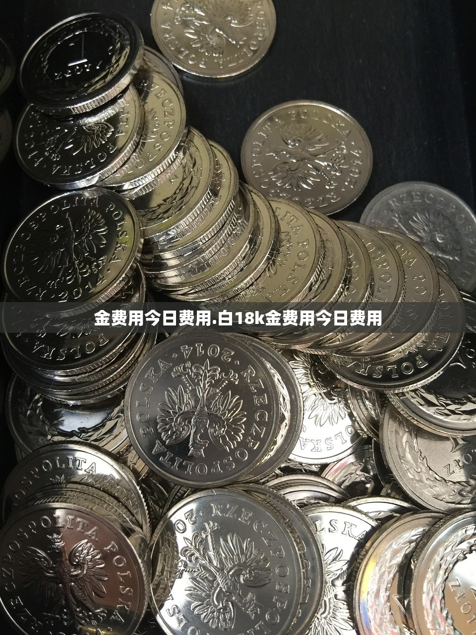 金费用今日费用.白18k金费用今日费用 金费用今日费用.白18k金费用今日费用