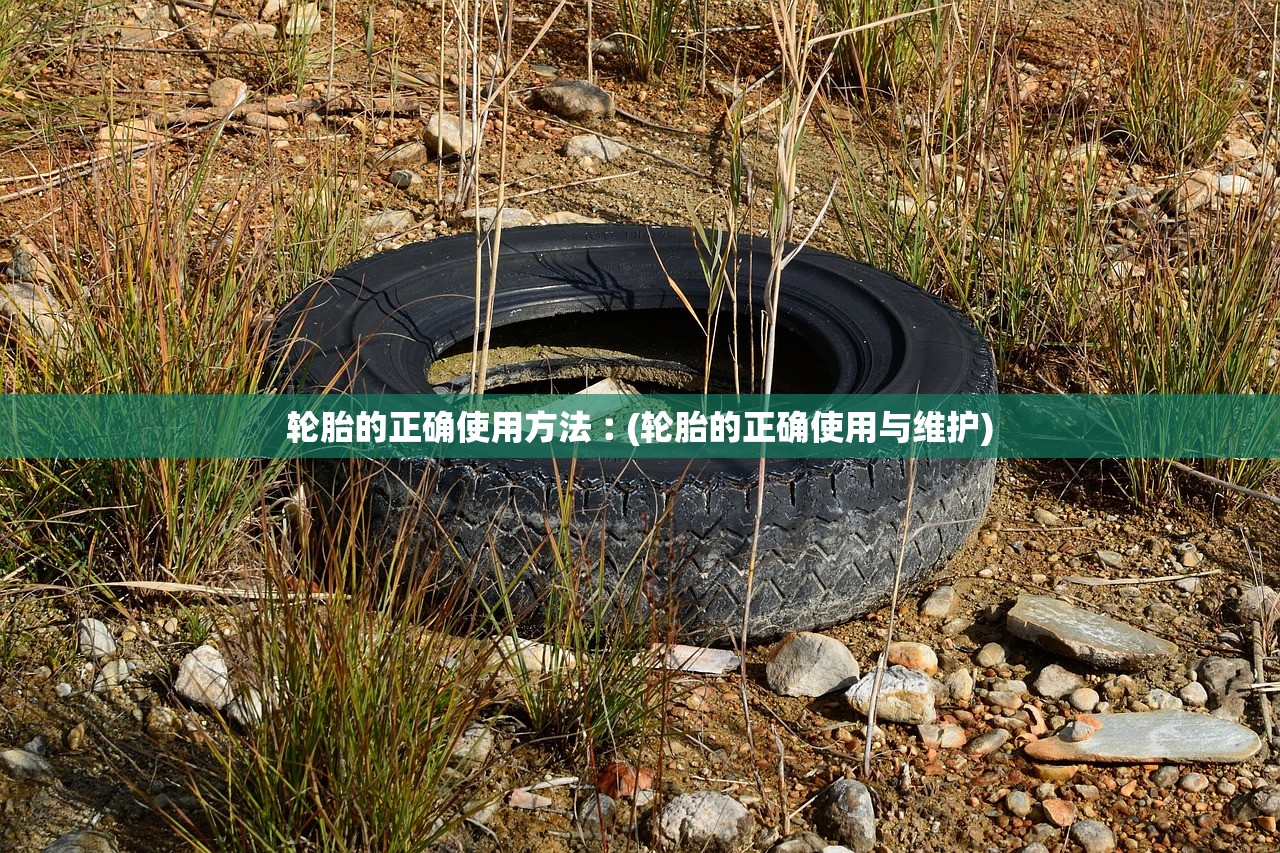 轮胎的正确使用方法︰(轮胎的正确使用与维护) 轮胎的正确使用方法︰(轮胎的正确使用与维护)