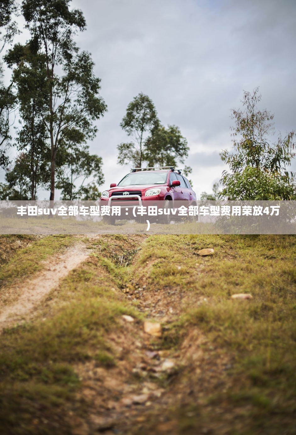 丰田suv全部车型费用︰(丰田suv全部车型费用荣放4万) 丰田suv全部车型费用︰(丰田suv全部车型费用荣放4万)