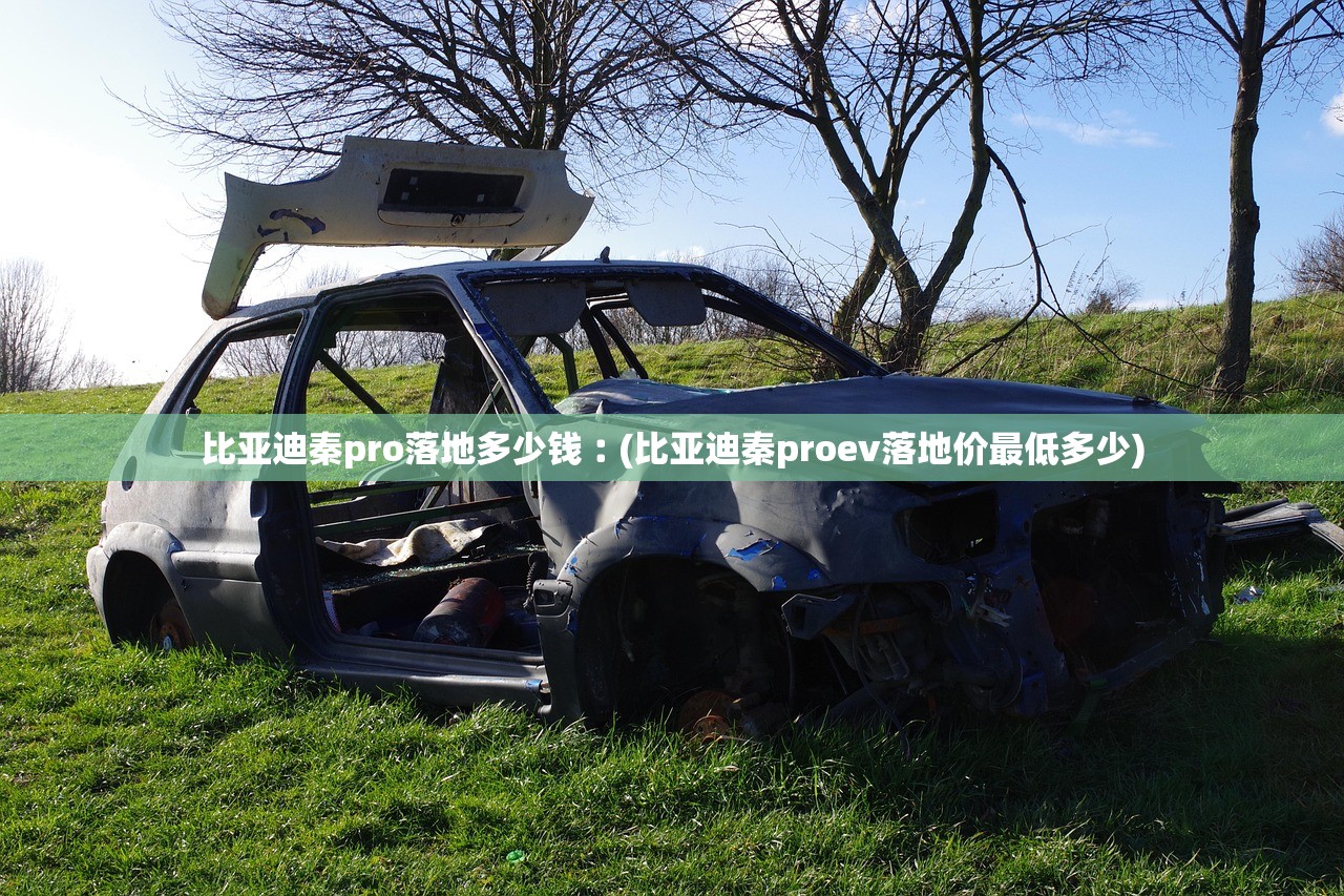 比亚迪秦pro落地多少钱︰(比亚迪秦proev落地价最低多少) 比亚迪秦pro落地多少钱︰(比亚迪秦proev落地价最低多少)