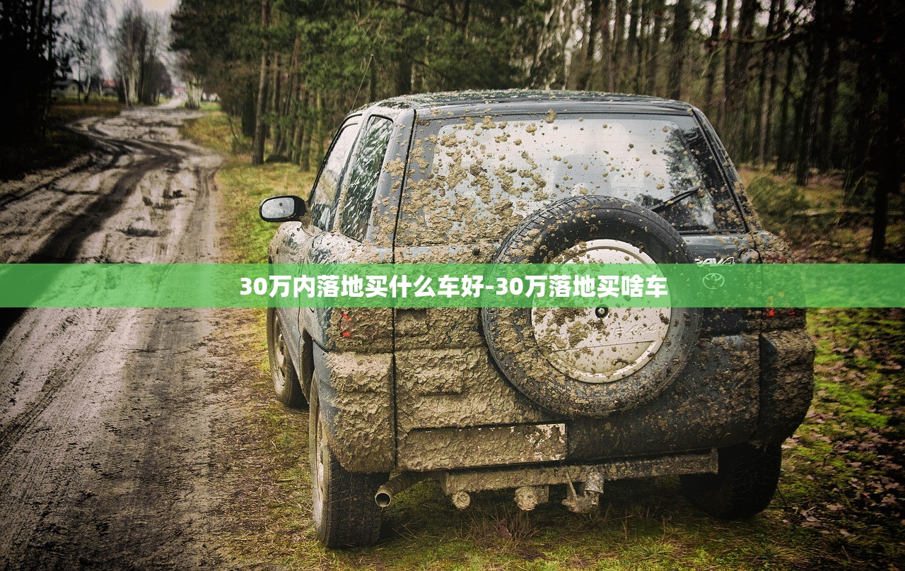 30万内落地买什么车好-30万落地买啥车