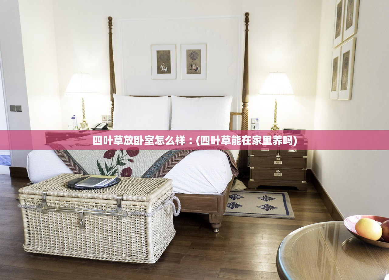 四叶草放卧室怎么样︰(四叶草能在家里养吗) 四叶草放卧室怎么样︰(四叶草能在家里养吗)